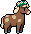 Horse wearing Horse Flower Crown