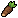 Horseradish