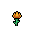 Marigold, stage 3