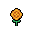 Marigold, stage 4