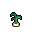 Onion, stage 4