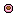 Pink Pet Dish