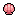 Pink Scallop Shell