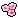 Plum Blossom