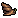 Pond Snail