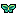 Queen's Birdwing