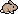 Rabbit, Brown coat