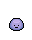 Rockclod purple