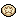 Sand Dollar