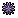 Sea Urchin