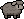 Sheep, Black coat