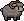 Sheep, Black coat