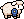 Sheep wearing Sheep Blue Ribbon