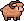 Sheep, Brown coat