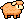 Sheep, Summer coat