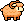 Sheep, Summer coat