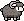 Sheep, White Nosed coat