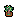 Small Ornament Bonsai