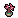 Small Rare Plum Bonsai