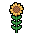 Sunflower, stage 4