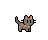 Tortie Cat