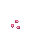Tulip, stage 0