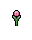 Tulip, stage 3