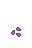 Turnip, stage 0