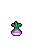 Turnip, stage 4