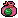 Watermelon Seed