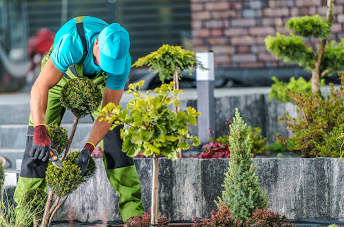 Landscapers Health Insurance