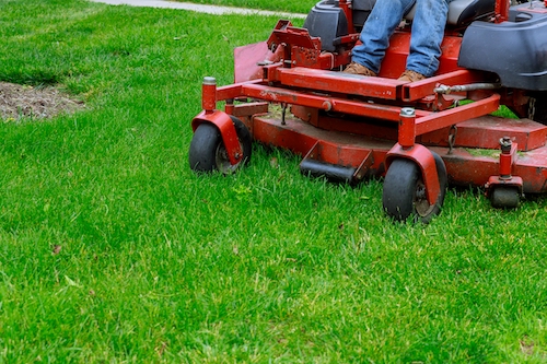 Health Insurance Landscapers