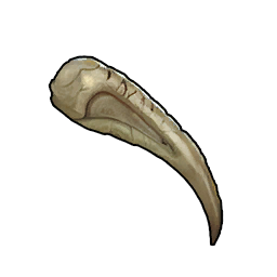 Precious Claw