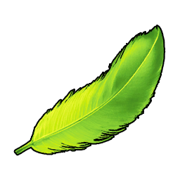 Tocotoco Feather