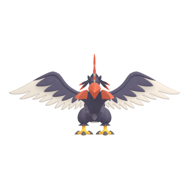 Nitewing from behind