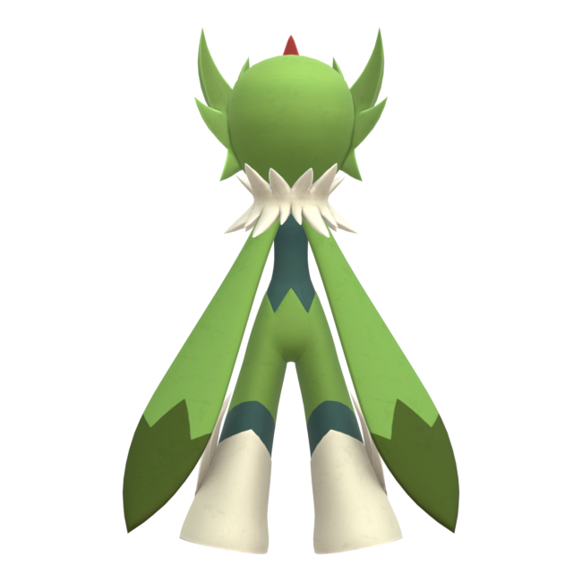 Robinquill from behind