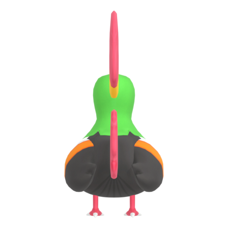 Tocotoco from behind