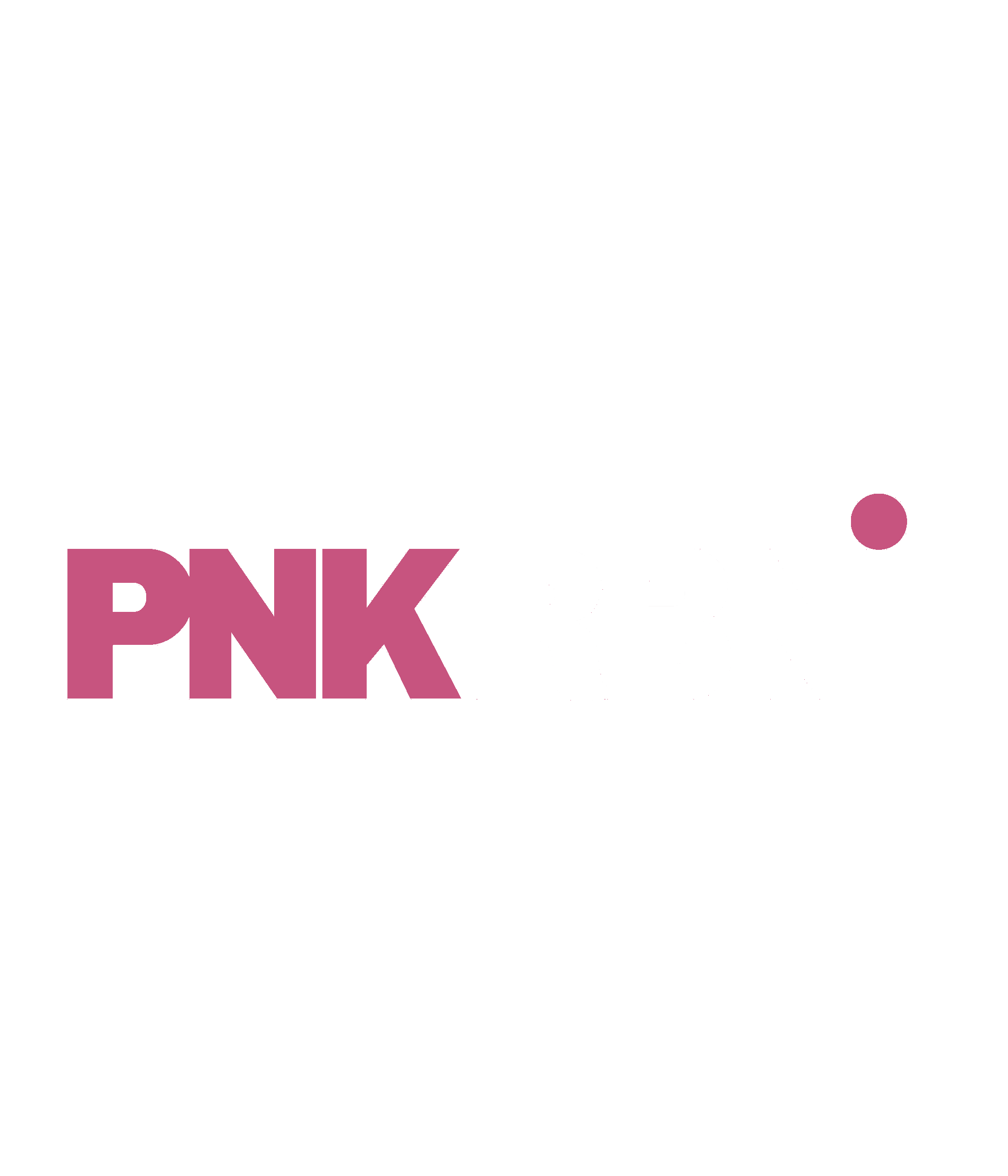 https://media.publit.io/file/PNKRBN/PNK-RBN-Logo.png