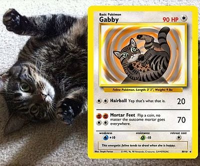 Personalized Pet Pokemon Cards