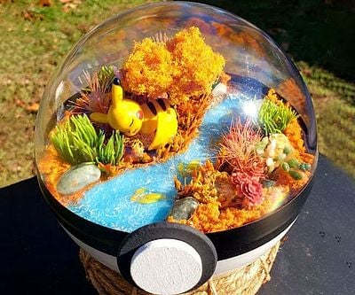 Pokemon Terrariums