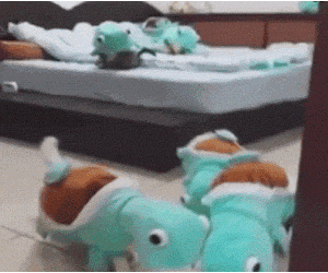 Squirtle Pet Costume