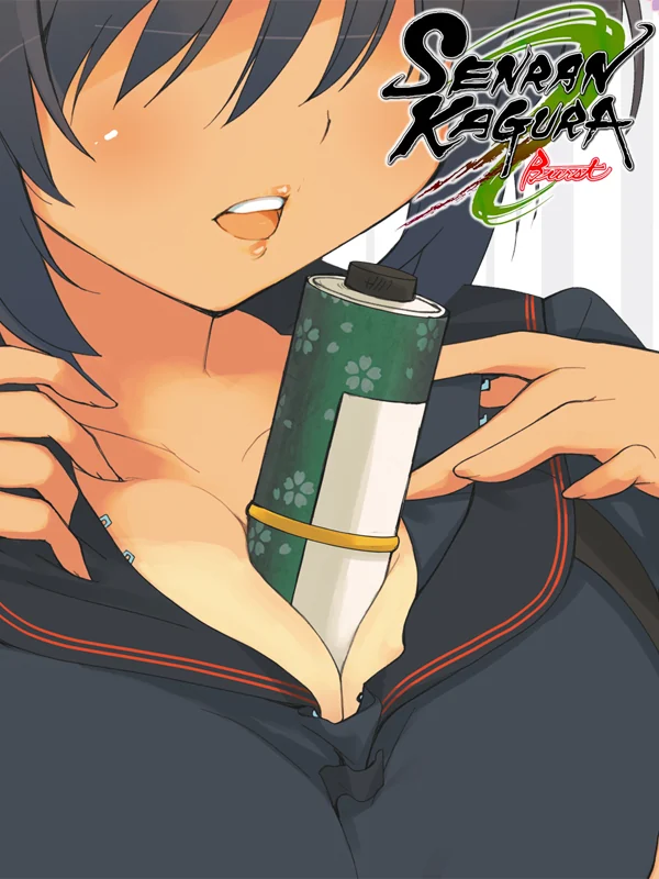 Senran Kagura Burst box art, North America