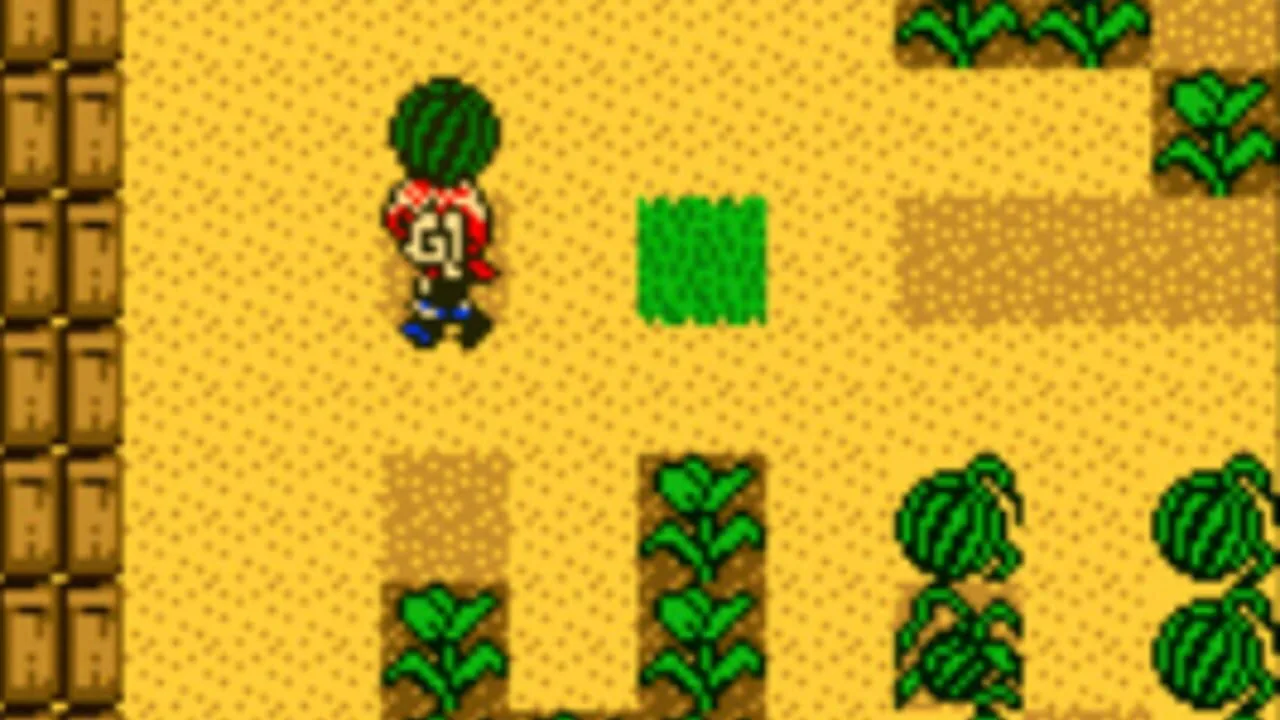 Harvest Moon 2 GBC gameplay on Game Boy Color