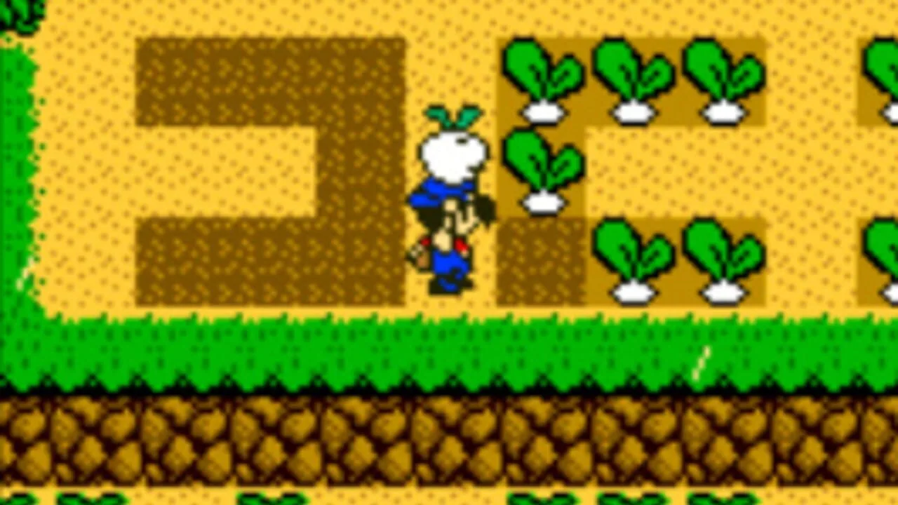 Harvest Moon 3 GBC screenshot 1