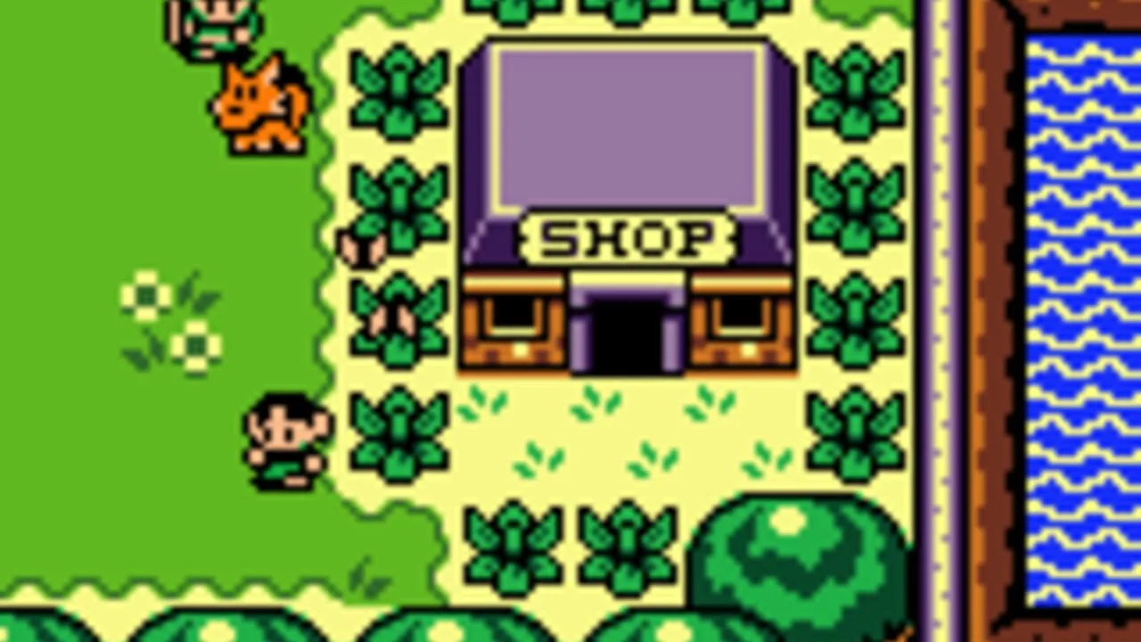 The Legend of Zelda: Link's Awakening DX screenshot 2