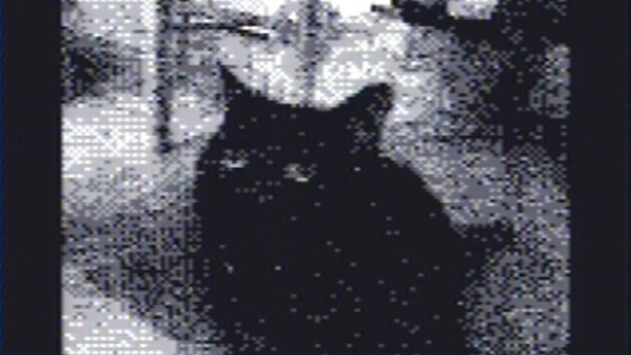 Game Boy Camera screenshot 1
