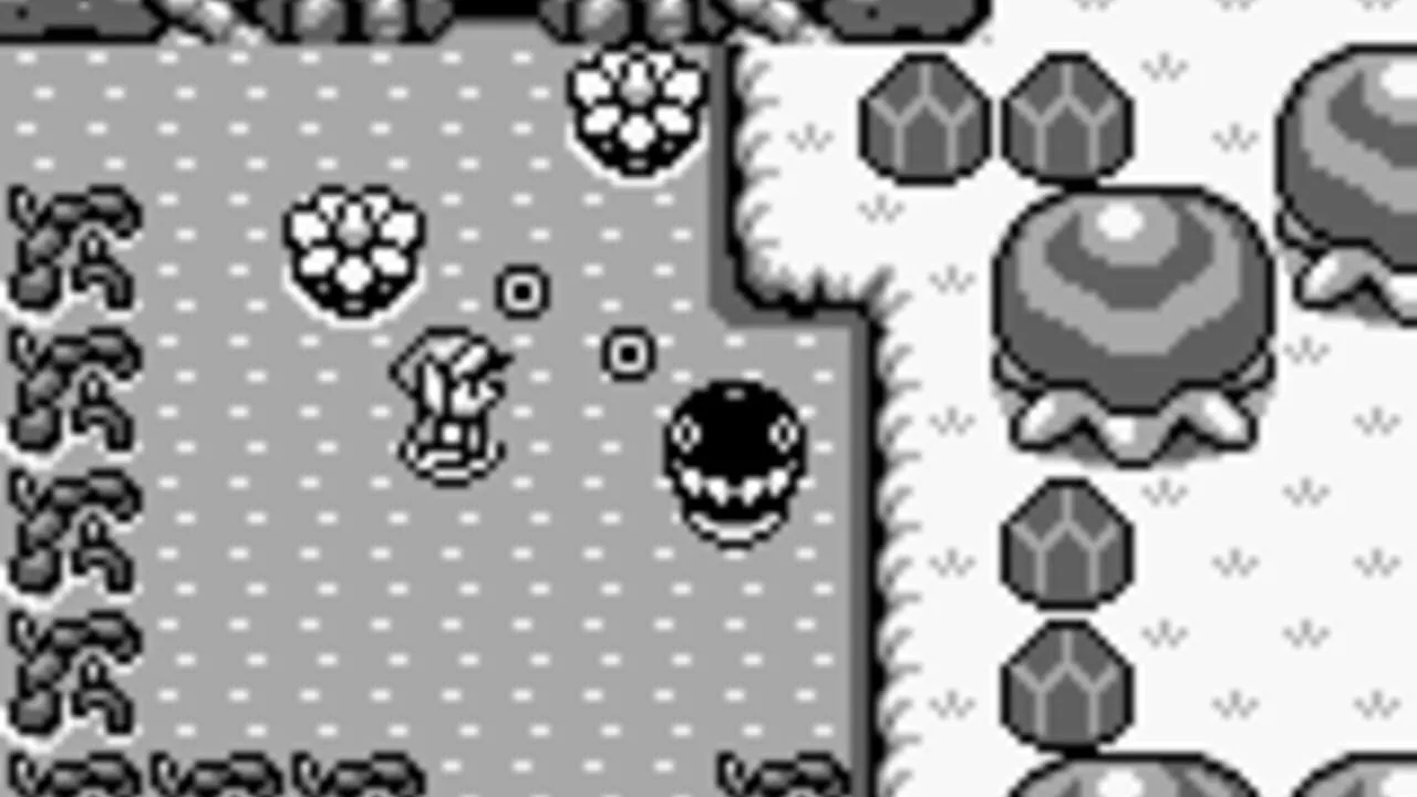 The Legend of Zelda: Link's Awakening screenshot 1