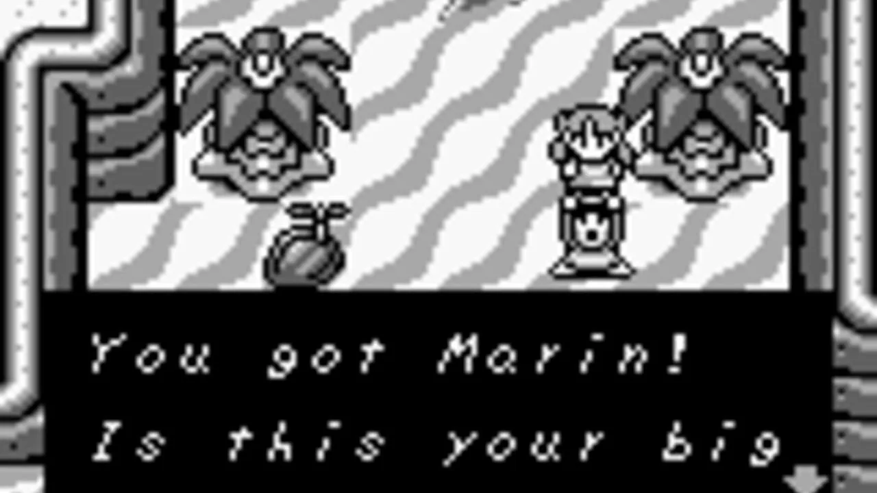 The Legend of Zelda: Link's Awakening screenshot 2