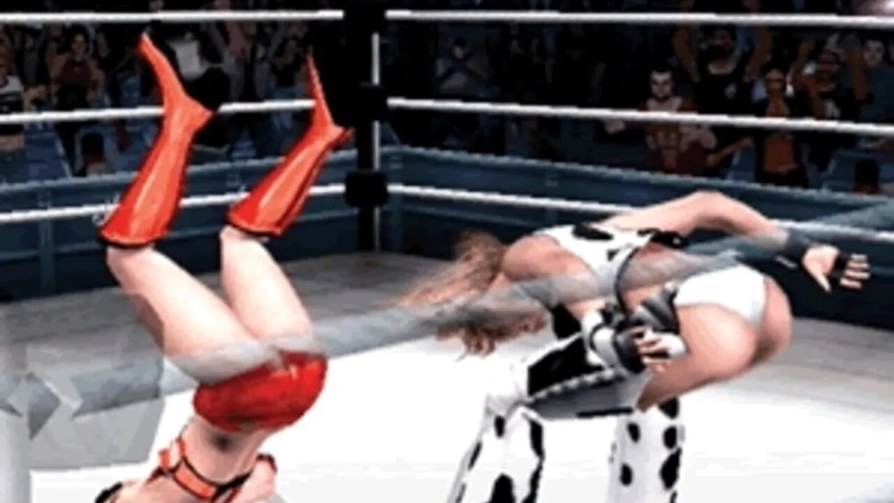 Rumble Roses screenshot 2