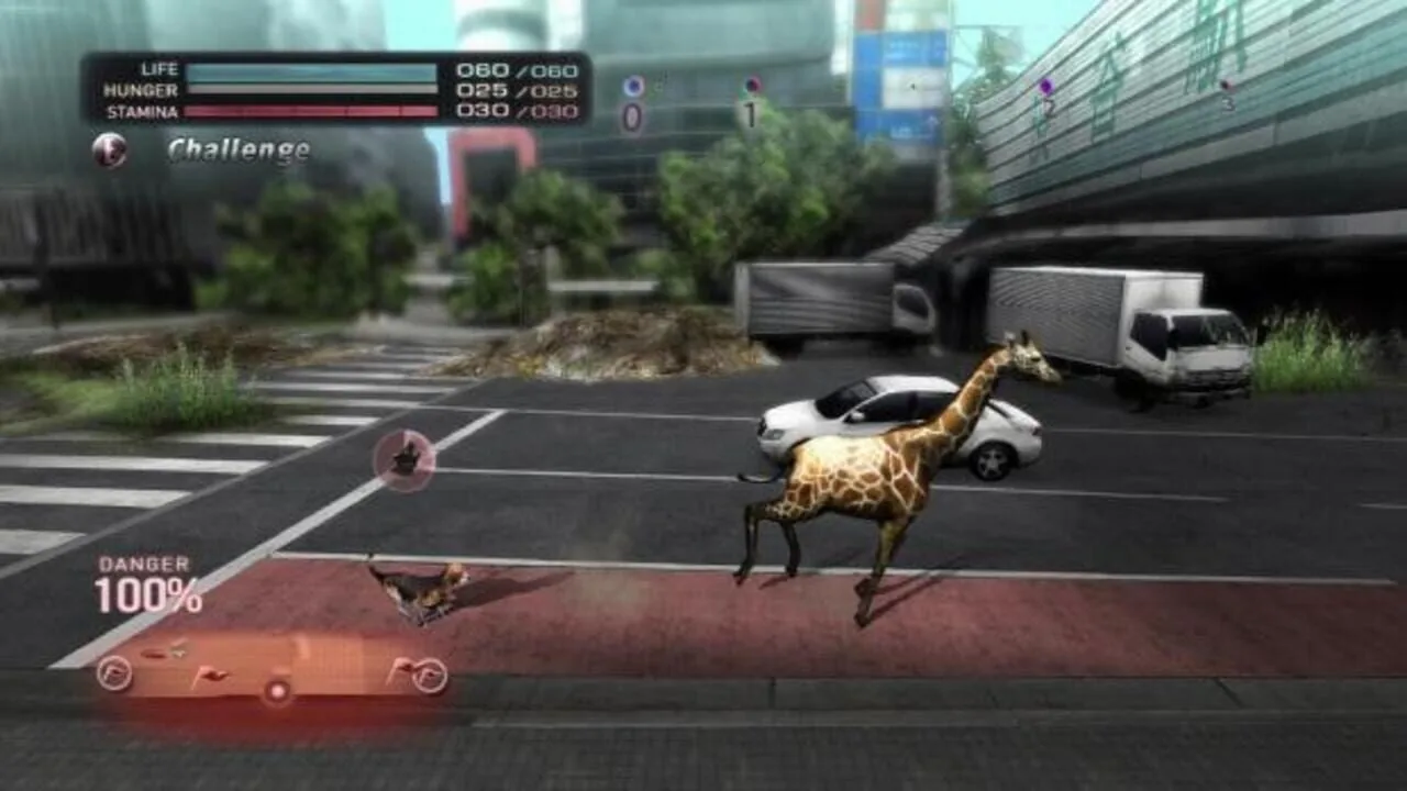 Tokyo Jungle gameplay on PlayStation 3